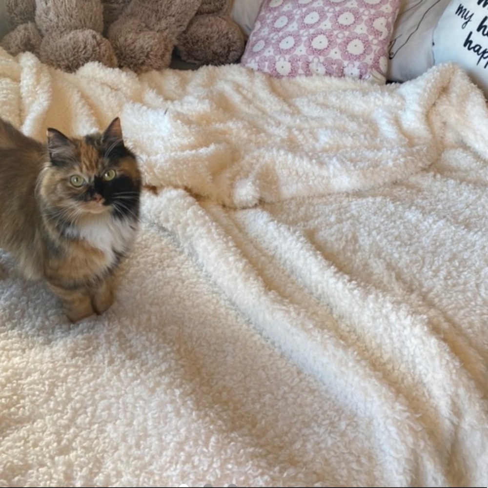 Sherpa blanket brown